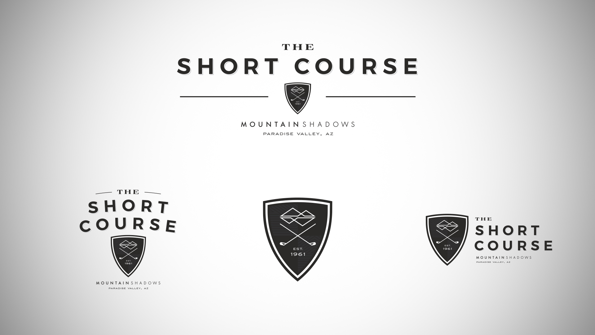 2MS Short Course logos