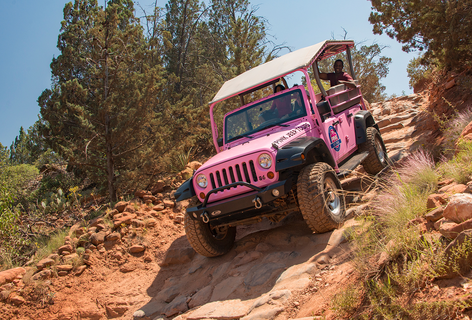 Pink_Adventures_tours Pink_Adventures_tours