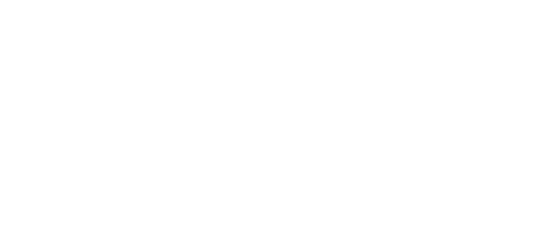 Mavrix logo in white