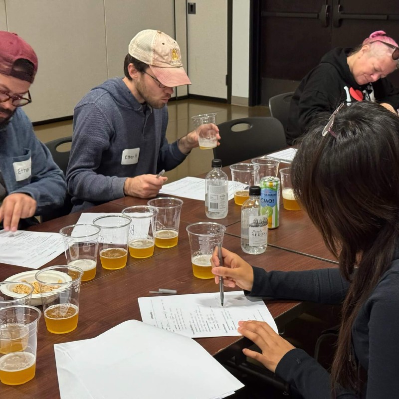 Focus Groups